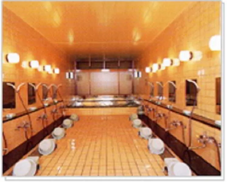 *** Отель Kyoto Travellers Inn Япония